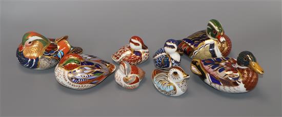 A collection of eight Crown Derby duck paperweights